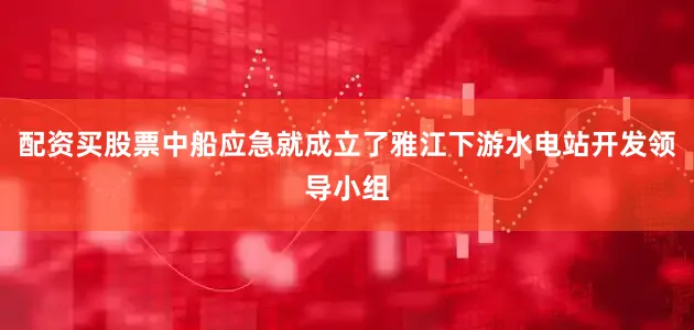 配资买股票中船应急就成立了雅江下游水电站开发领导小组